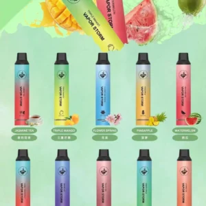 風暴抛棄式 VAPOR STORM -5000口一次性電子煙